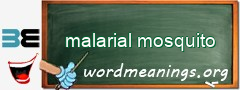 WordMeaning blackboard for malarial mosquito